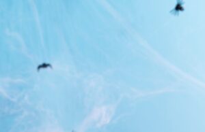 Рецепт и история муравейника пирожного