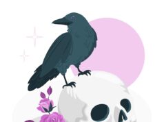 ТЦ Богородск Raven: обзор и особенности