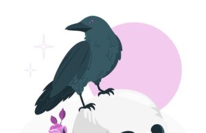 ТЦ Богородск Raven: обзор и особенности