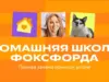 Онлайн школа для 1 класса: удобства и преимущества для современных родителей