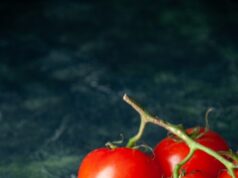 Рецепт малосольных помидоров