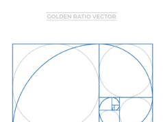 Основы поперечного сечения