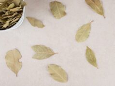 Значение снов о сухих листьях