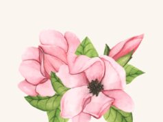 Значение клематиса в символике