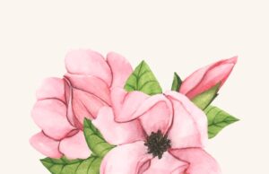 Значение клематиса в символике