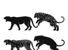 Гепард как тотемное животное и его значение