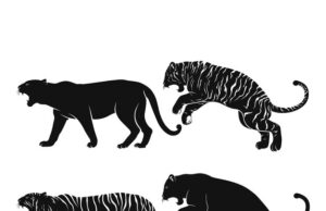 Гепард как тотемное животное и его значение