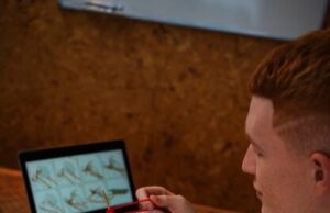 Гадание онлайн: задайте вопрос и получите ответ