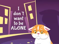 Символика сна о раненом коте