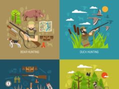 Охота на дис: полезные советы и стратегии