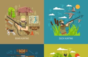 Охота на дис: полезные советы и стратегии