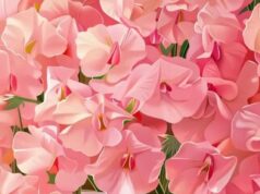 Цитаты о цветах и их значении