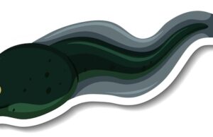 Почему снится глист значение снов