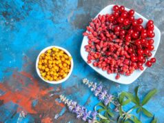 Применение барбариса в разных областях