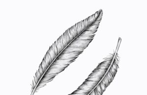 Значение перо татуировки и её символика