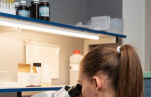 Инструкция по калибровке LCR T4