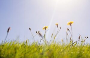 22 солнечный день и его особенности