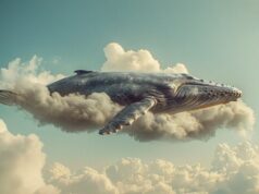 Что символизирует кит в культуре и мифологии