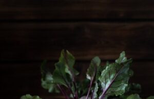 Как готовить мангольд простые рецепты и советы