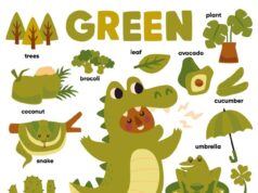 Лучшие слова для игры в крокодила