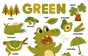 Лучшие слова для игры в крокодила