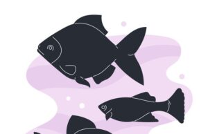 Сонник черная рыба значение и толкование