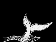 Значение символа кита в культуре и мифологии