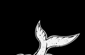 Значение символа кита в культуре и мифологии