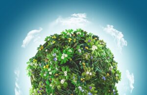 Планета у львов — тайны звездной системы