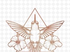 Колибри символизм и значение в культуре