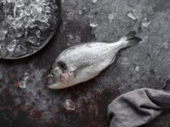 Приснилась белая рыба значение и толкование сна