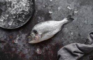 Приснилась белая рыба значение и толкование сна