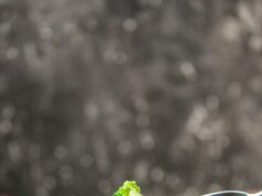 Простые и вкусные блюда с цукини