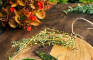 Куда добавляют базилик в кулинарии