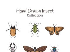 Цикада символизм и значение в культуре