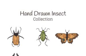 Цикада символизм и значение в культуре