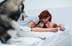 Что означает завести щенка во сне сонник толкование