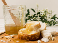 Монастырский мёд: как создаются целебные дары природы в тишине православного подворья