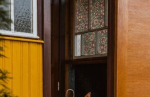 Кофейная гуща в доме применение и польза