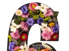 Значение цифры 69 в нумерологии и культуре