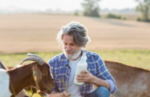 К чему снится козье молоко толкование снов