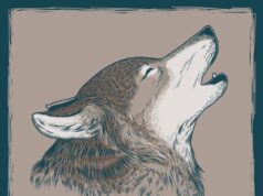 Цитаты волка одиночки о жизни и свободе