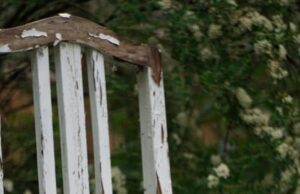 Увидеть белого голубя примета и значение