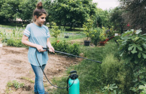 Эффективные Методы Защиты Растений и Увеличения Урожайности