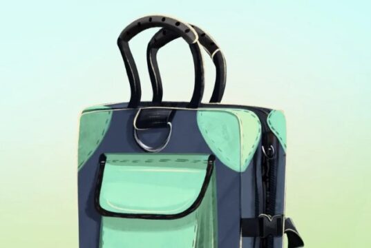 Складная переноска для собак и крупных кошек: преимущества и выбор