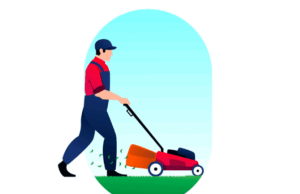 Газонокосилки: критерии выбора