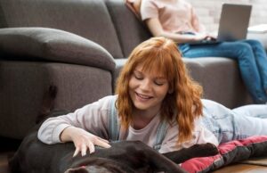 Много животных во сне: что это значит?