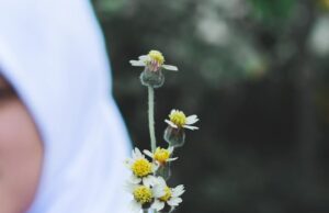 Значение имени Амира для девочки у мусульман