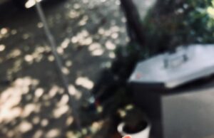 К чему снится держать змею за голову