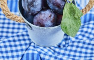 Сны о спелых сливах на дереве